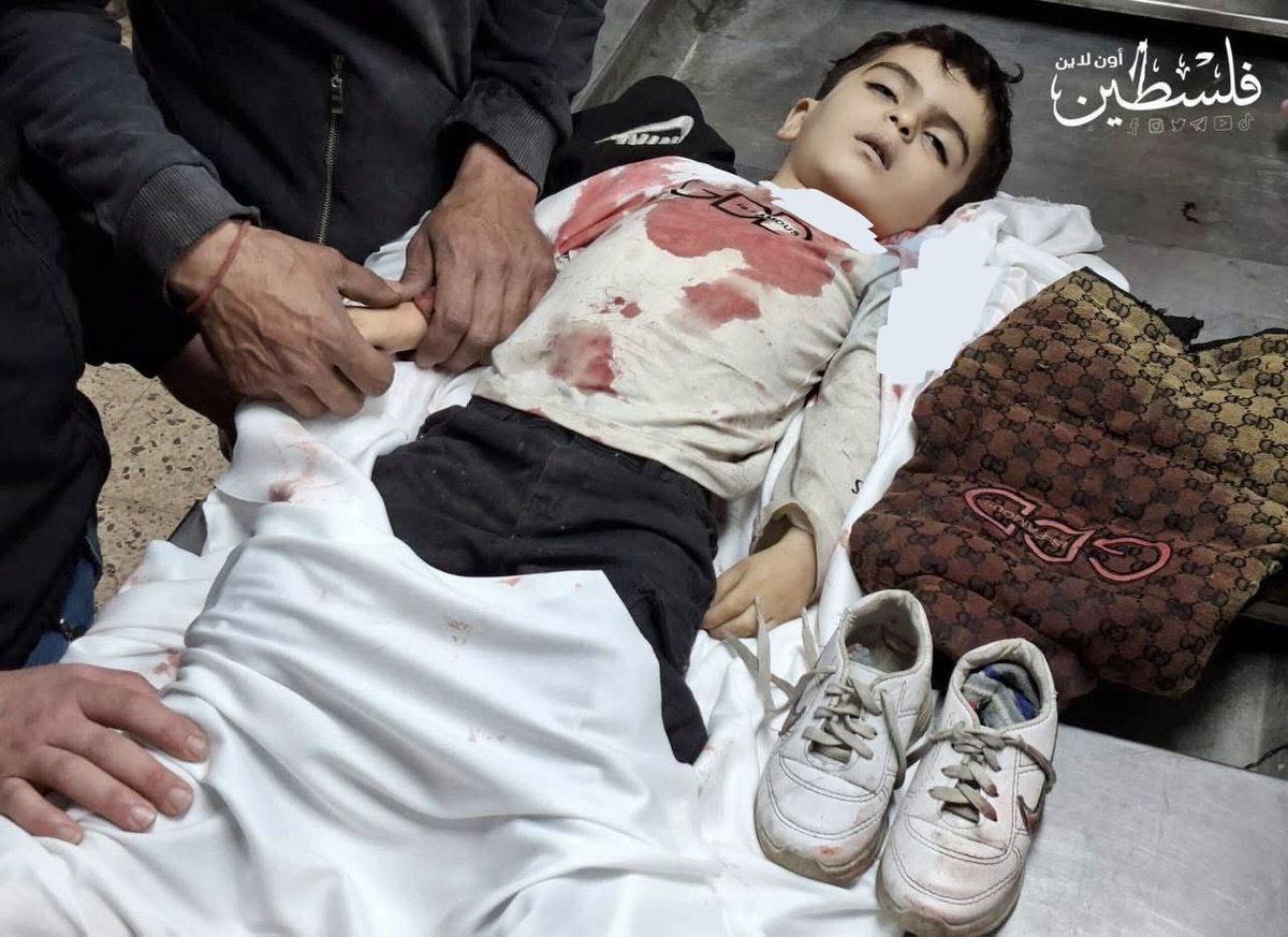 جهاد حلس، غزة tweet media