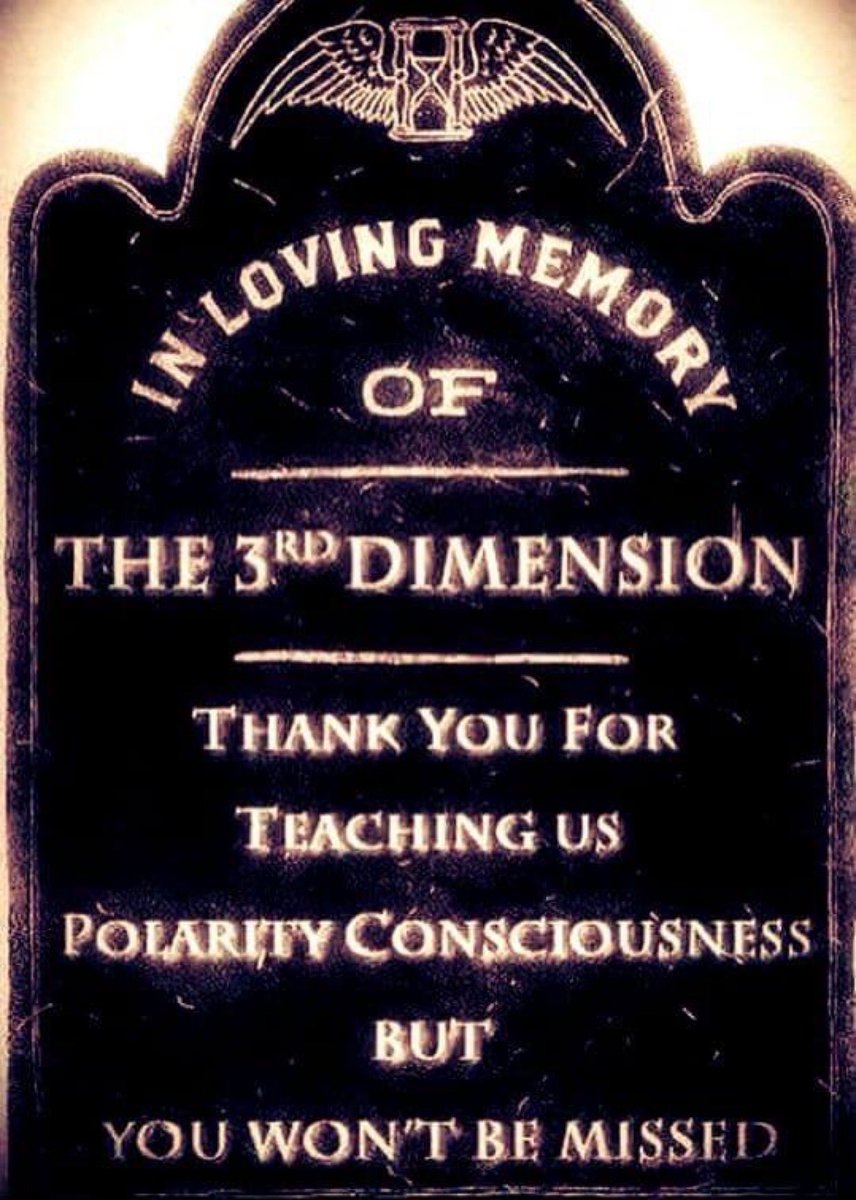 Niclas Q tweet media