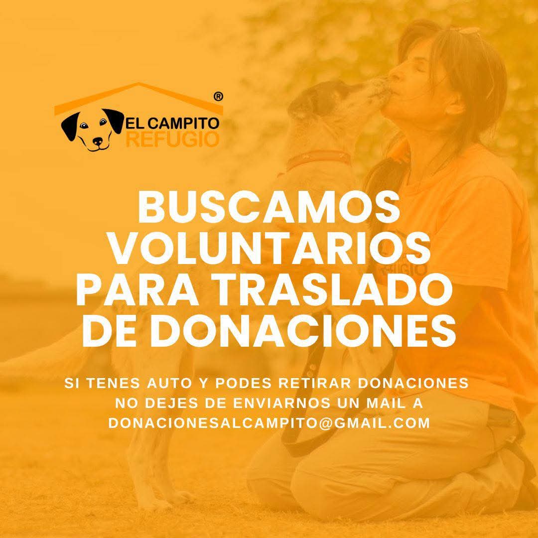 🚨¡TE NECESITAMOS AL VOLANTE!🚨
Nuestra manada es lo más y piensa mucho en los camperitos a la hora de donar, pero tenemos un gran problema: no tenemos cómo trasladarlas al refugio🥹
Si tenés auto o camioneta y querés sumarte a este equipo fundamental, ¡esta es tu oportunidad!👇