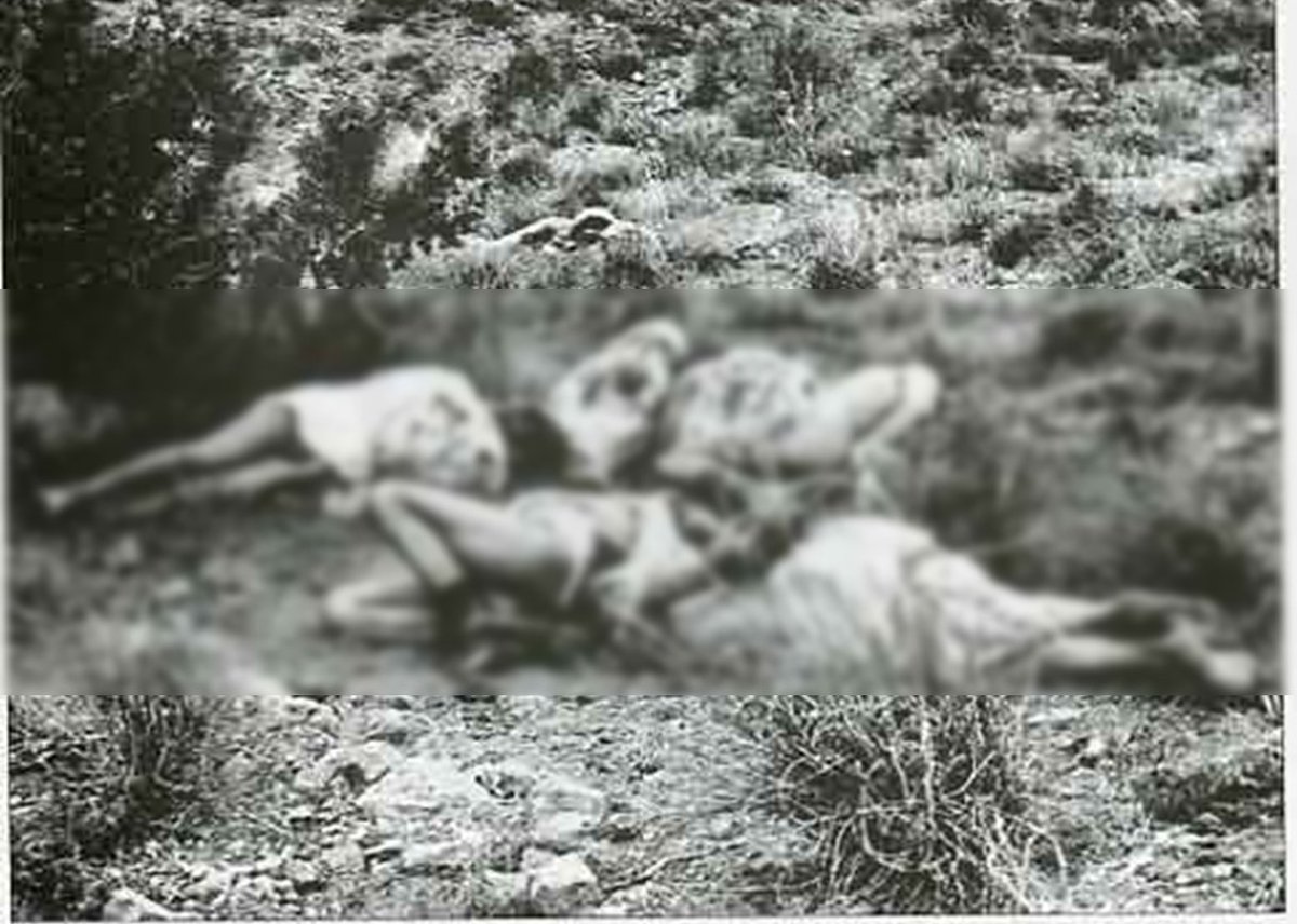 Marc Vanguard tweet media