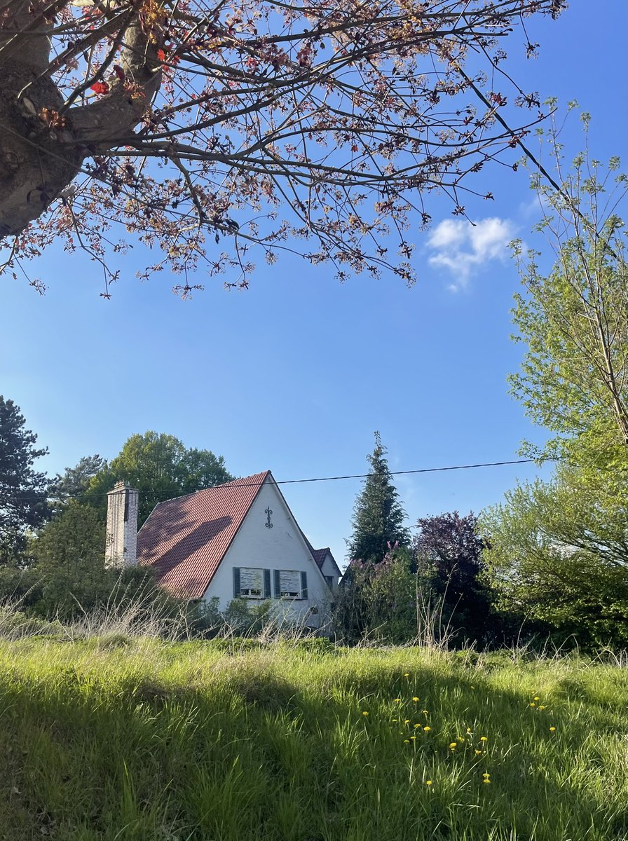 lettpoupette's tweet photo. join my spring evening neighbourhood walks https://t.co/AmXERAYQqQ