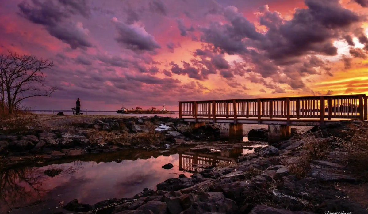 amNewYork™ tweet media