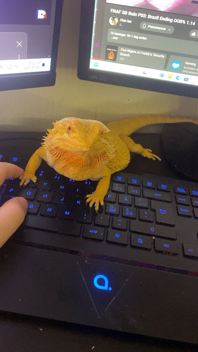 LillemanLA tweet media