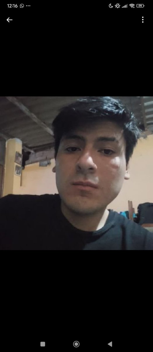 Austin de los Bayardigans tweet media