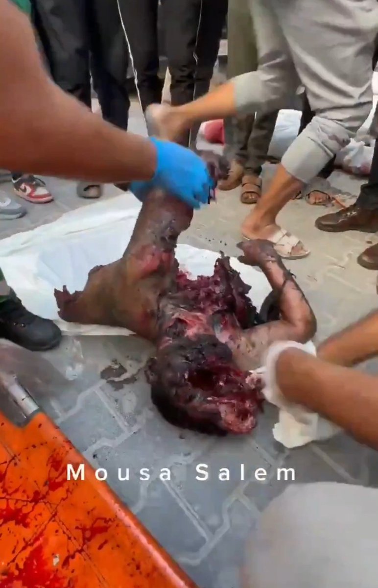 حليمة tweet media