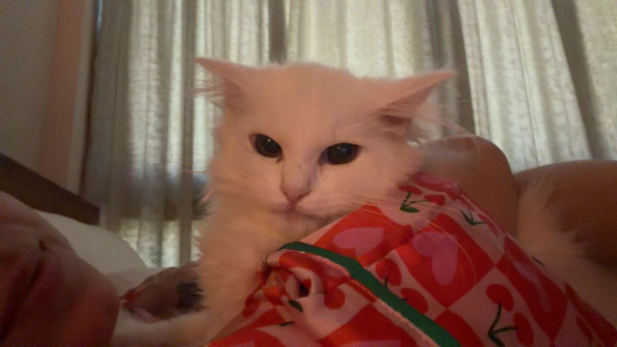 Tum Rebellions kuch bhi karlo Hana sabse zyada pyar mewjhe hi karti hai 😼😂🫶🏻🤍❤✨

#FarrhanaBhatt 
#FarrhanaBhatt𓃵
#FarrhanaPaglu 
#FarrhanaRebellions