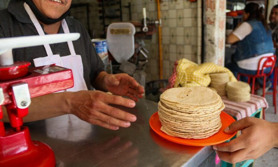 Chingaquedito tweet media