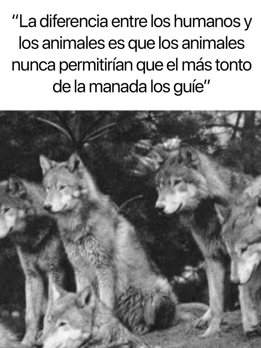 Más Ciencia tweet media