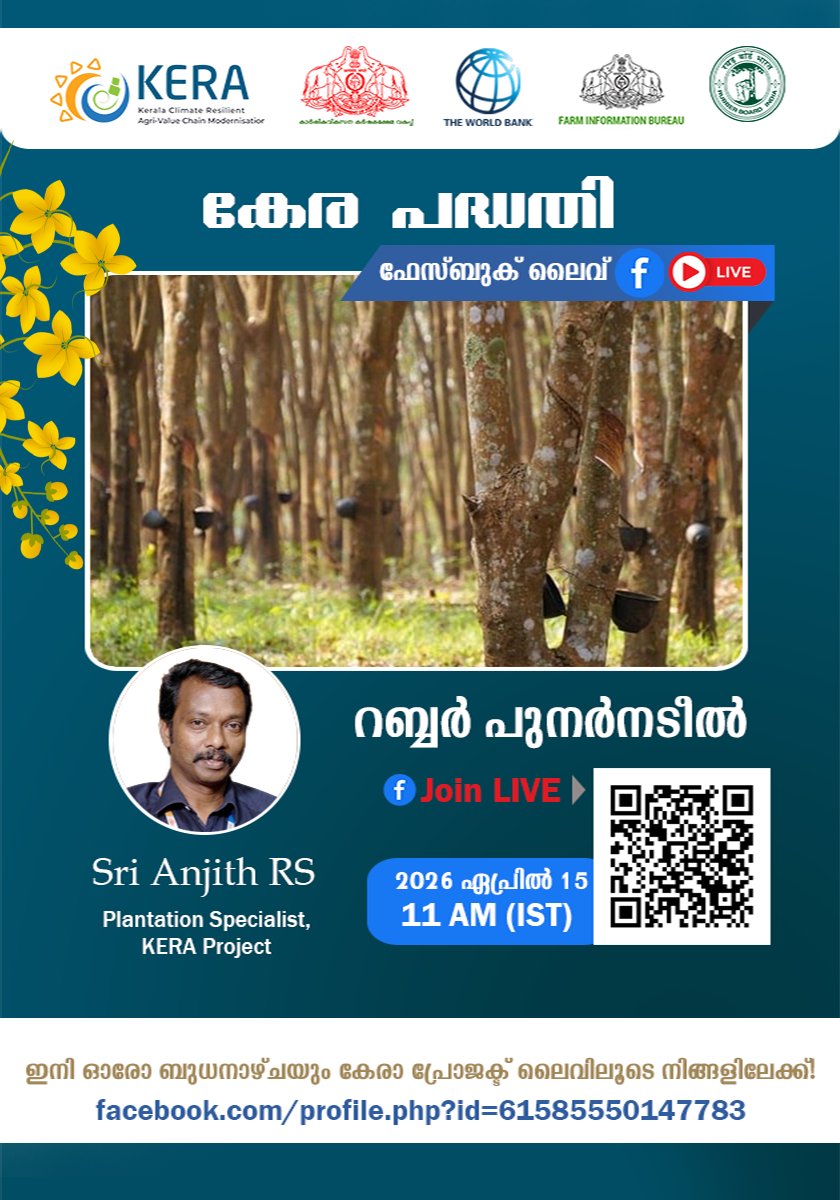 keraprojet's tweet image. കേര പദ്ധതി  – Facebook Live Launch
റബ്ബർ പുനർനടീൽ 

👉 മറക്കാതെ ലൈവിൽ ചേരൂ!
facebook.com/profile.php?id…

#KERAProject #FIB #FacebookLive #Farmers #Farmerempowerment #replantation