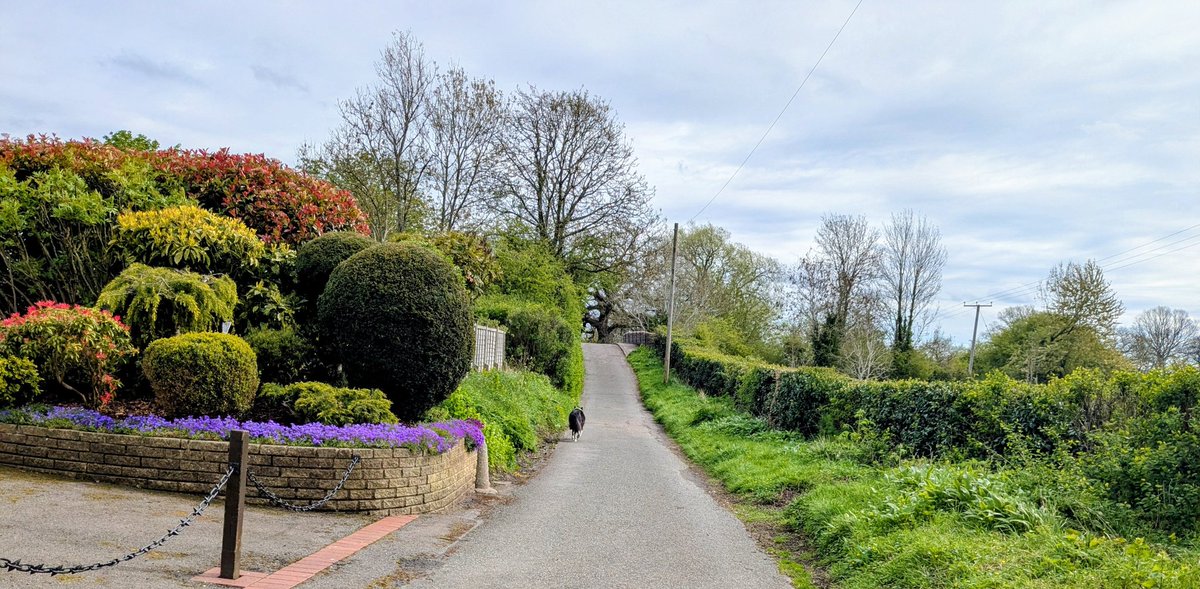 Claire Hill tweet media