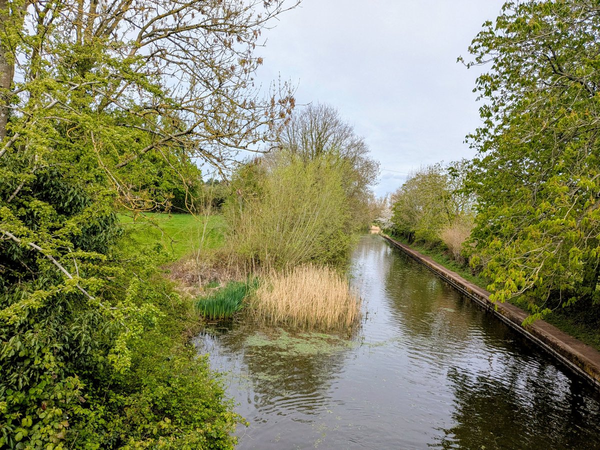 Claire Hill tweet media