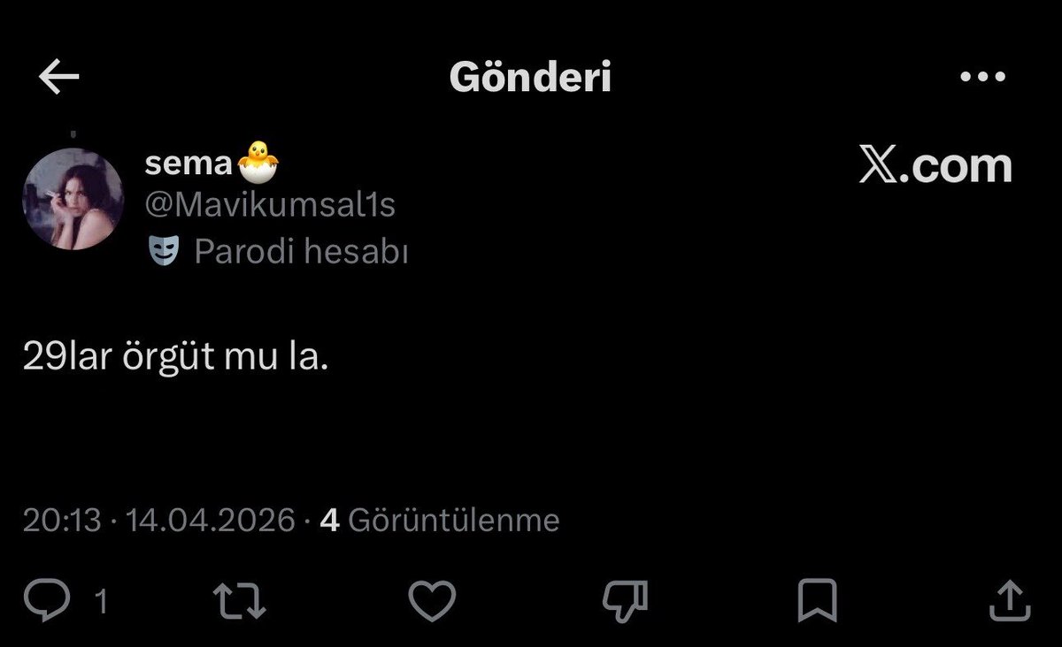 irem²⁹ tweet media