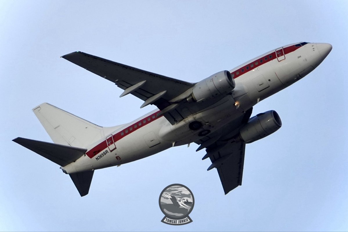 TomcatJunkie🏴☠️ tweet media