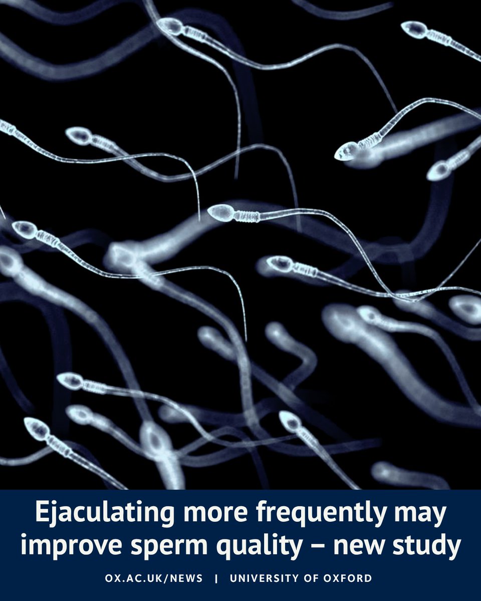 Un poco de Tendencias tweet media