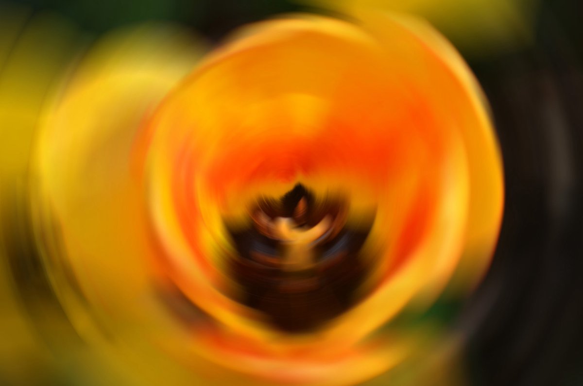 DebbieJayephoto's tweet image. My Entry for The Glasgow Gallery of Photographers – Abstract
Fotografia Astratta
Photography by Debbie Jaye Photography
#abstract #photography #nature #photos #lovephotos #London #Piraeus #Greece #theblueeye #Albania