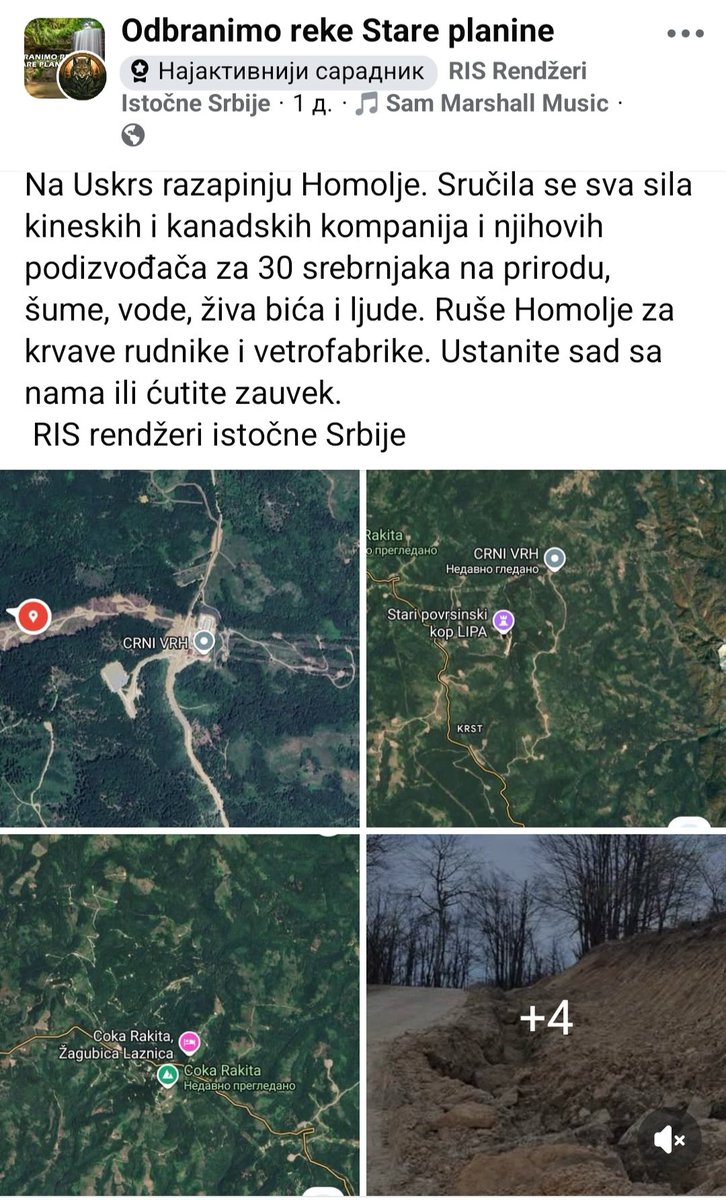 Danijela Rankovic tweet media