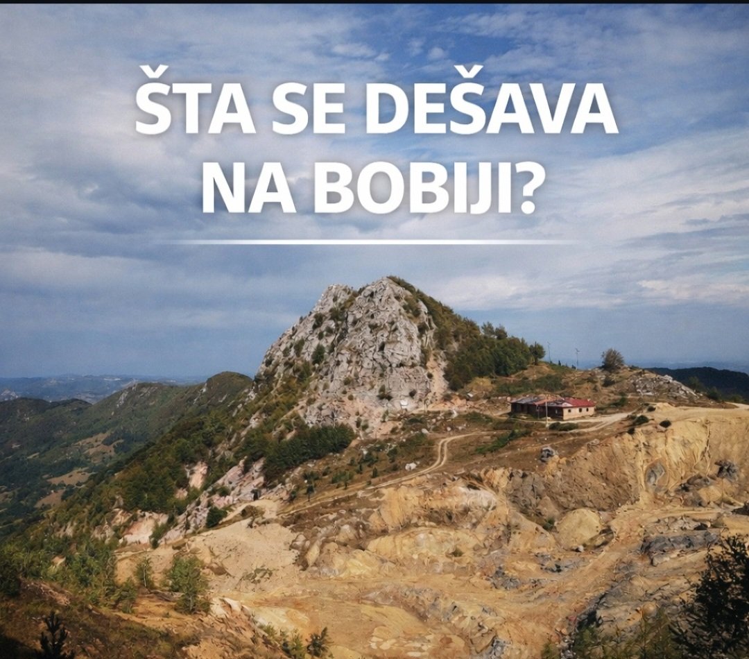 Danijela Rankovic tweet media
