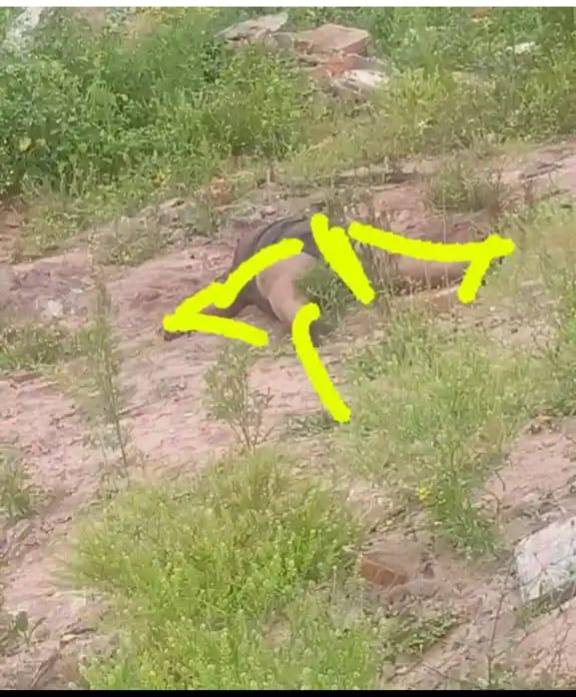 GALAXY-2:20 VIDEO🔌 tweet media