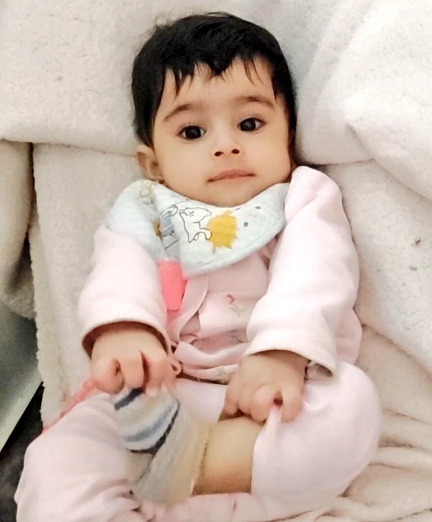 Eileen's Family 🍉🇵🇸 tweet media