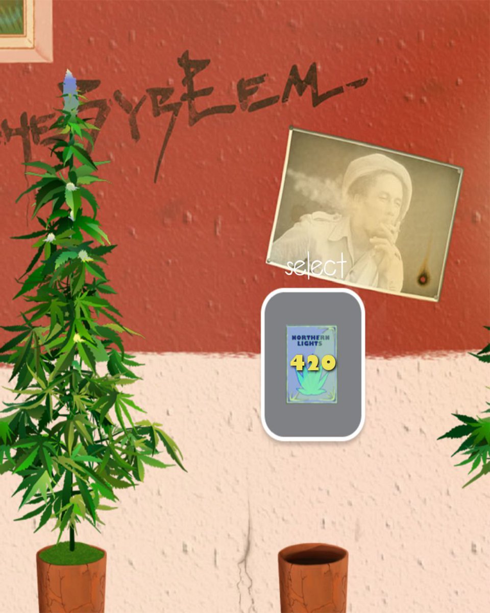 Weed Firm Official tweet media