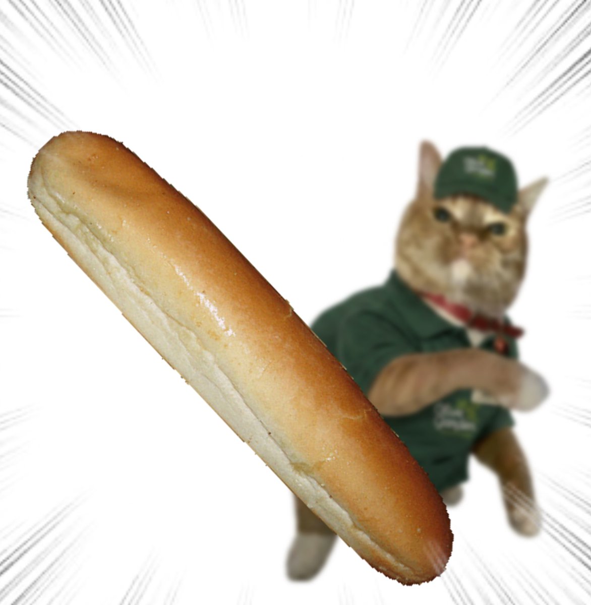 Throwing Things Daily tweet media