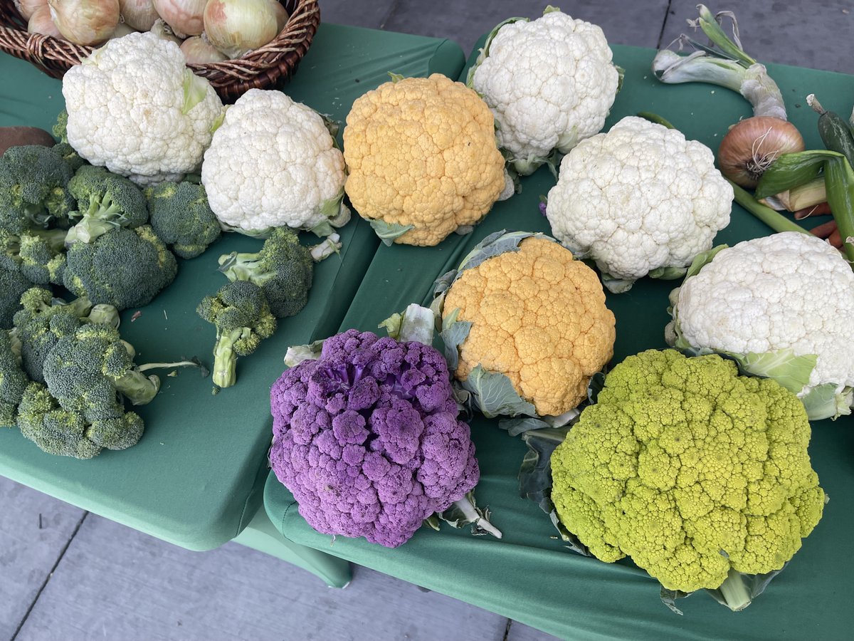 CityOfLasVegas's tweet photo. Looking to buy fresh, affordable produce downtown? Check out the Pop-Up Produce Stand at the @RTCSNV Bonneville Transit Center. It will have regionally grown fruits and veggies you can feel good about. 🍎🥬

-Noon to 3 p.m. or while supplies last. ⏰
-Bonneville Transit Center, 101 E. Bonneville Ave. 📍

SNAP/EBT, cash, debit and credit are all welcome. Double Up Food Bucks also helps your dollars go further. 💳

Other dates for the Pop-Up Produce Stand: 🗓️ 
May 5
May 12
