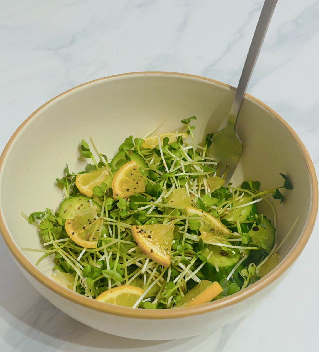 城之内🦐 tweet media