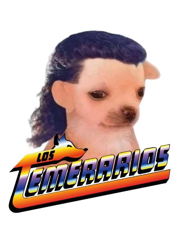 ElMorales_08's tweet photo. Te pedí una despuntada, no que me dejaras como el perrito de los temerarios. https://t.co/AQPuyqJbb9