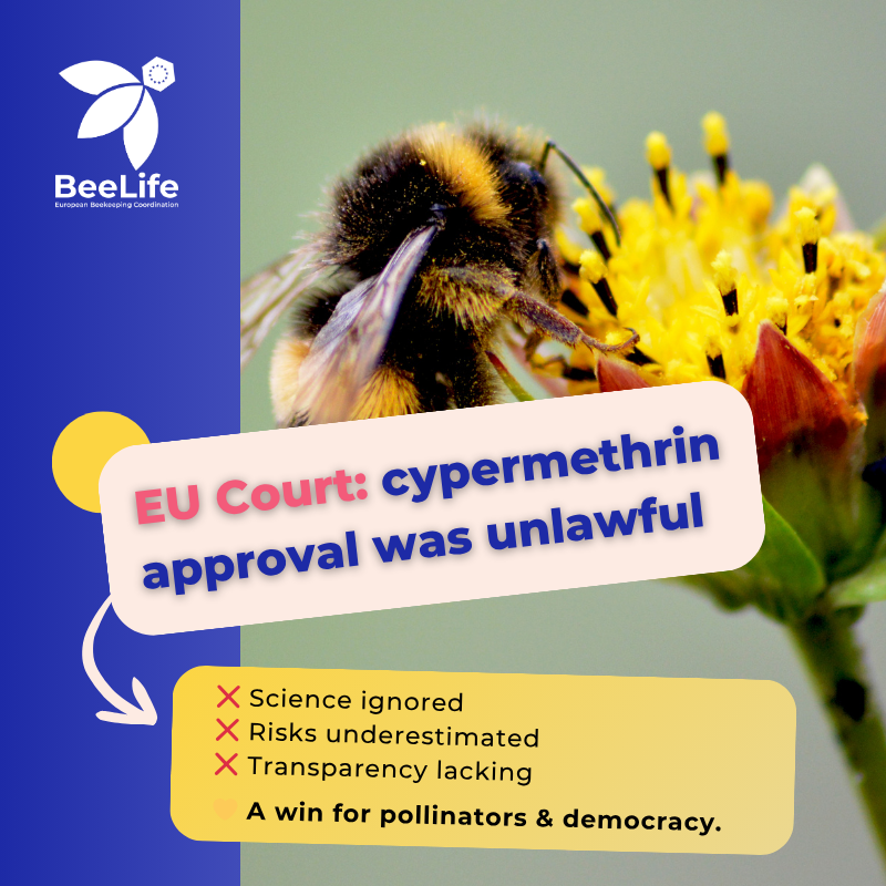 BeeLifeEU's tweet photo. The EU Court ruled the re-approval of #cypermethrin illegal.
This is a turning point for #FoodSafety, #Biodiversity and accountability in EU decision-making. 🐝
Read more: https://t.co/Xkg7Q33HXC

#BeeLife #EUpolicy https://t.co/u4vzyEvM2T