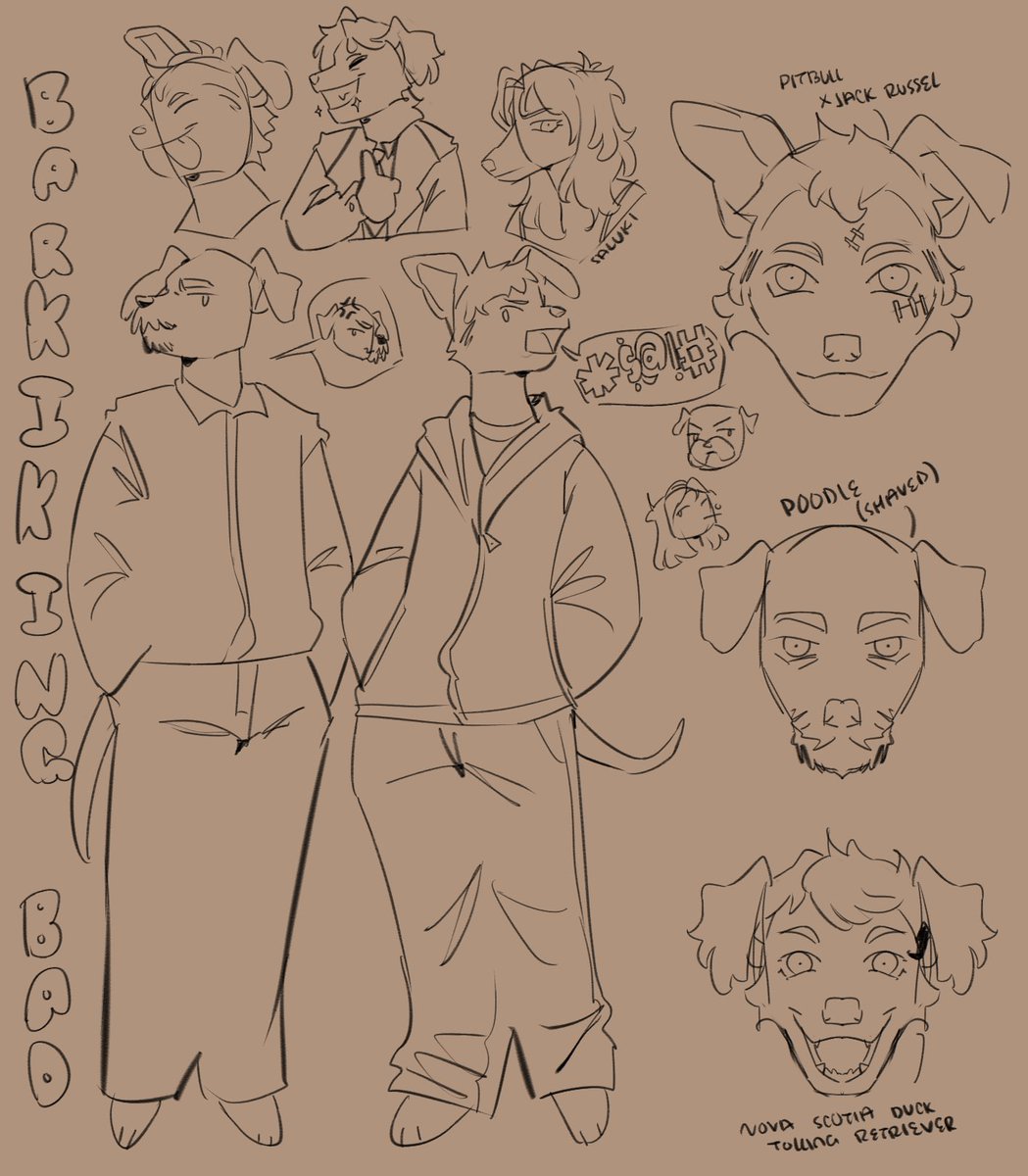 ✴️obi☄️ tweet media