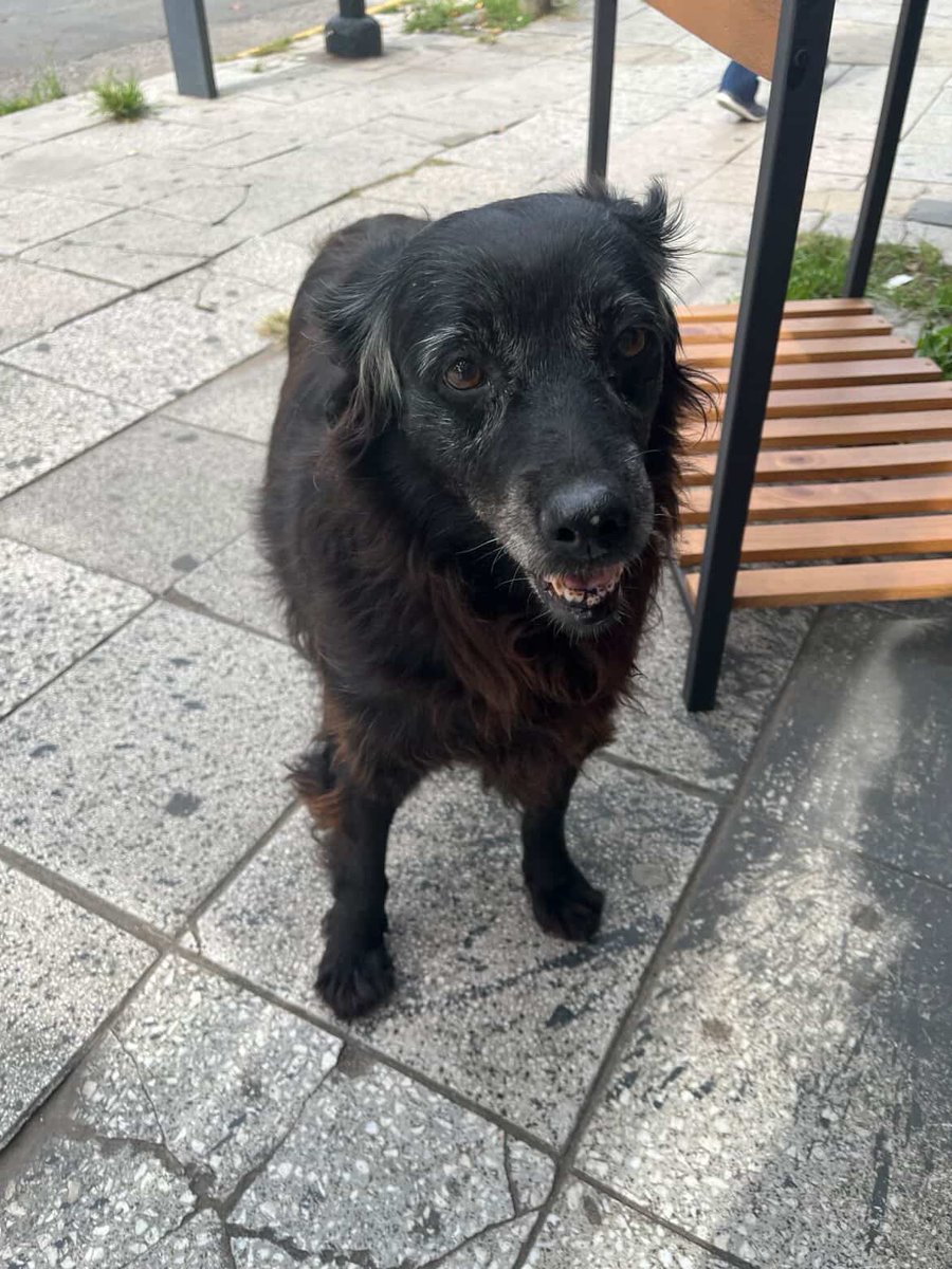 Avellaneda_Real tweet media