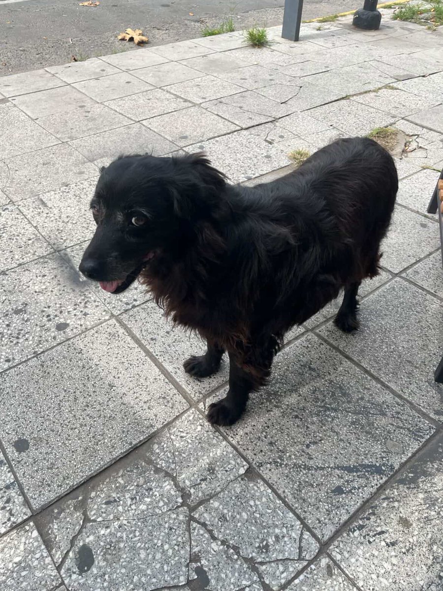 Avellaneda_Real tweet media