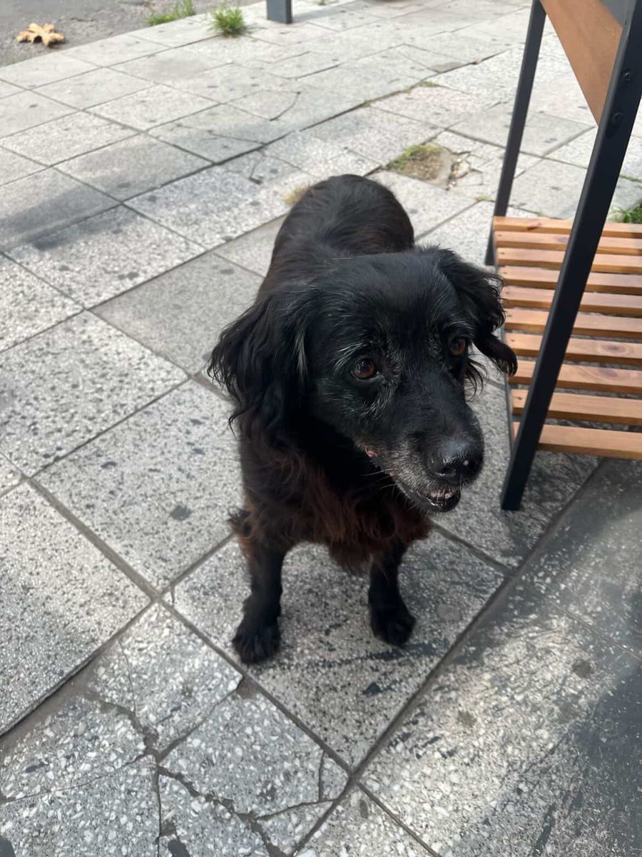 Avellaneda_Real tweet media