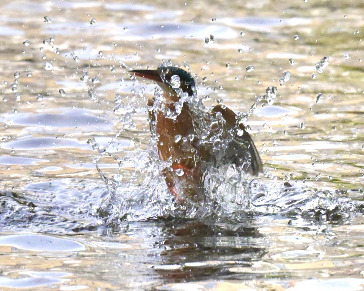 David Rouse 🍃💚🍃 tweet media