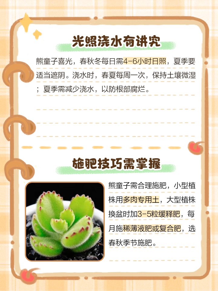 halim.89 tweet media