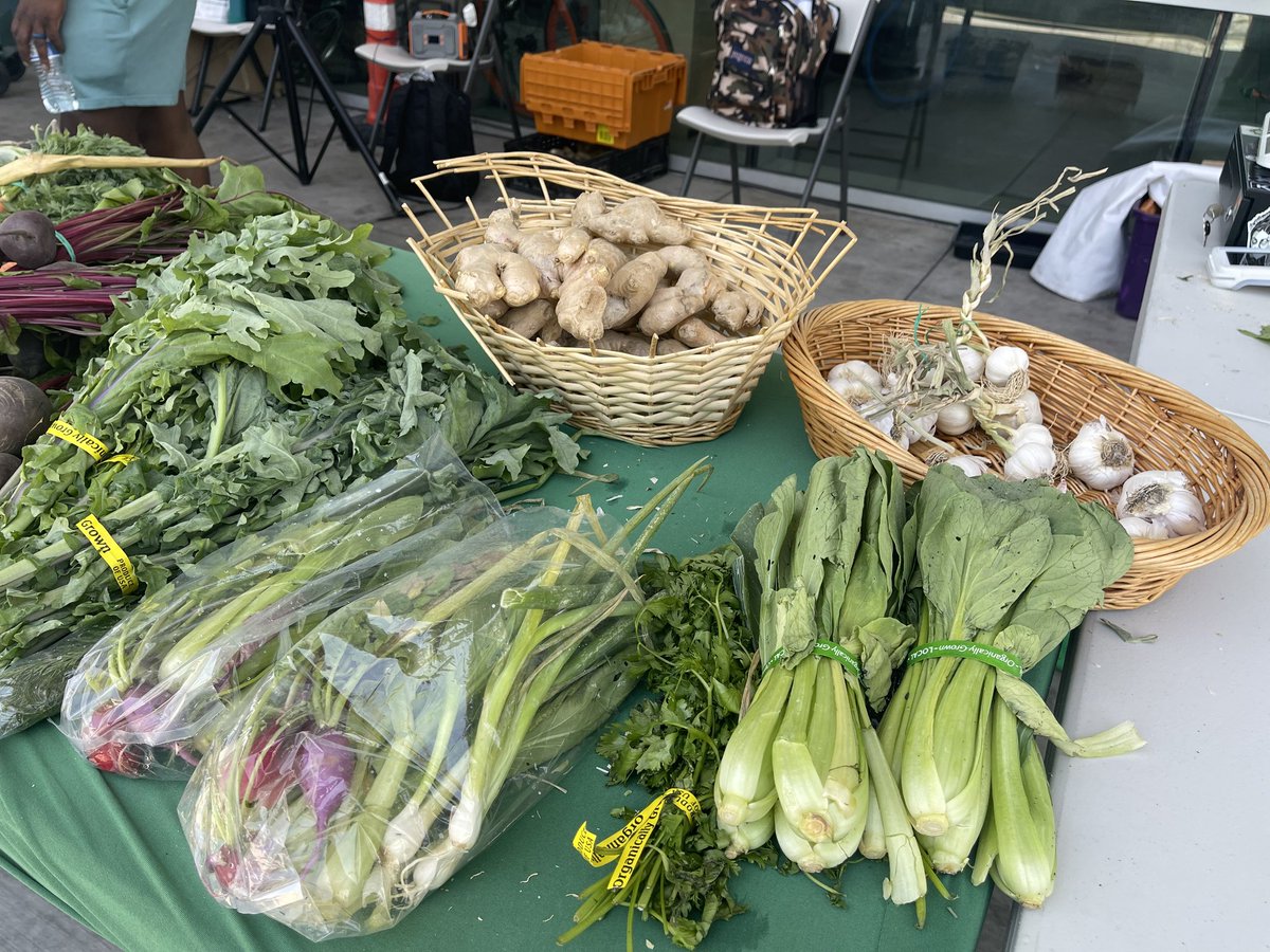 CityOfLasVegas's tweet photo. Looking to buy fresh, affordable produce downtown? Check out the Pop-Up Produce Stand at the @RTCSNV Bonneville Transit Center. It will have regionally grown fruits and veggies you can feel good about. 🍎🥬

-Noon to 3 p.m. or while supplies last. ⏰
-Bonneville Transit Center, 101 E. Bonneville Ave. 📍

SNAP/EBT, cash, debit and credit are all welcome. Double Up Food Bucks also helps your dollars go further. 💳

Other dates for the Pop-Up Produce Stand: 🗓️ 
May 5
May 12