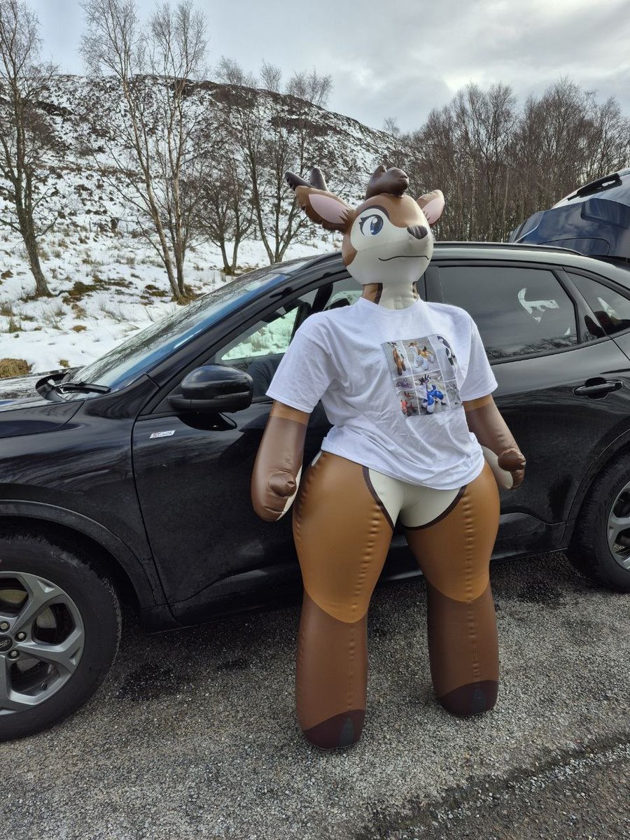 Living for the weekend.... 🐺 tweet media