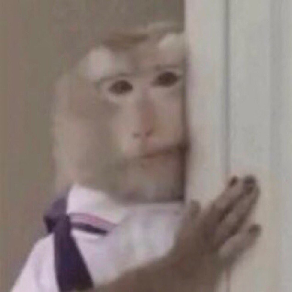 ester renault tweet media