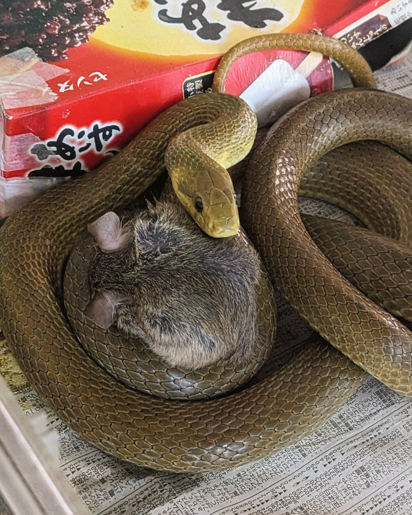 さよならはいつまでたっても
とても言えそうにありません
