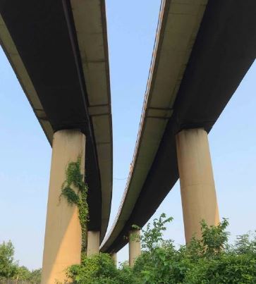 Metro Forward tweet media