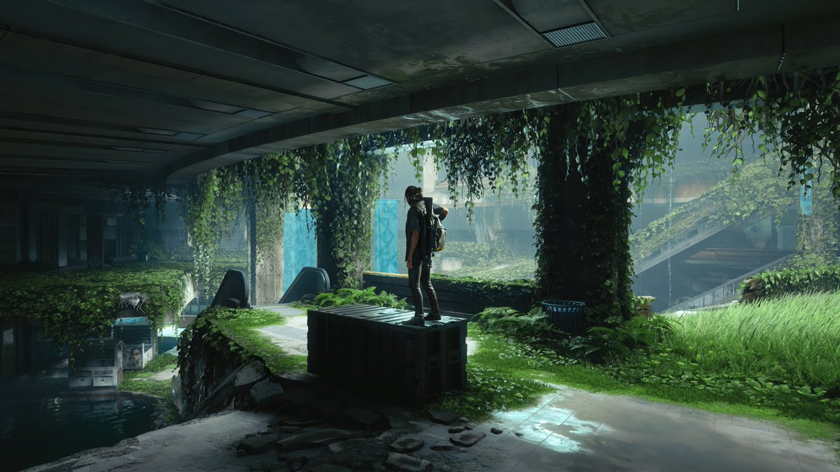 ثَمـن | 価格 tweet media