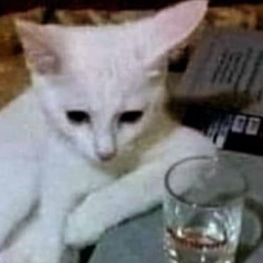 𝙉𝙀𝙍𝘿‼️ tweet media