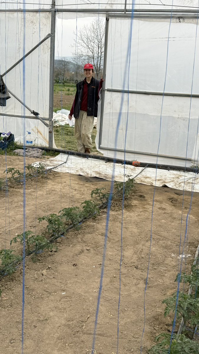 Halil Bilen tweet media