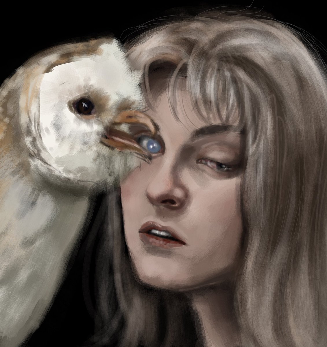 roadkill tweet media