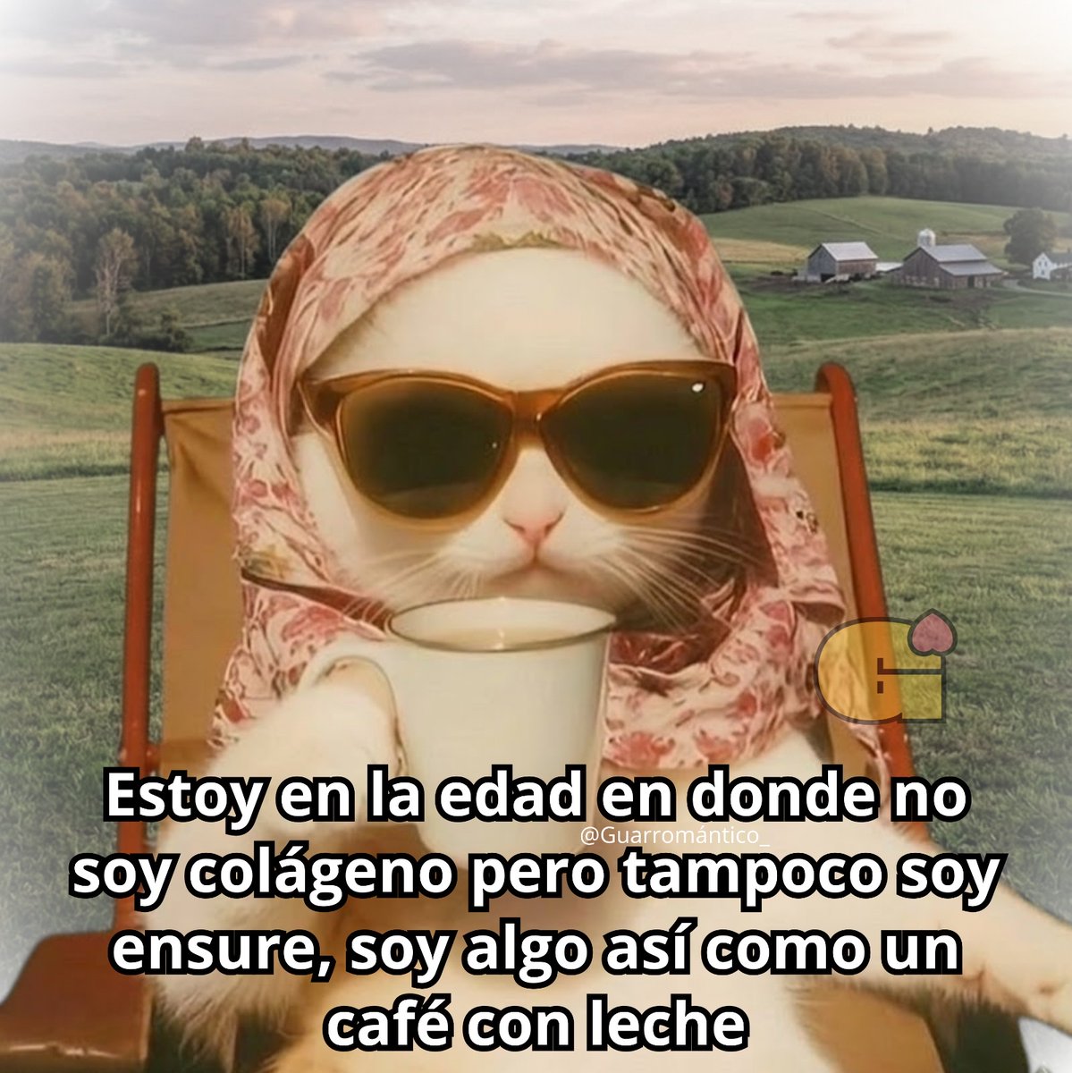 El Guarromántico tweet media