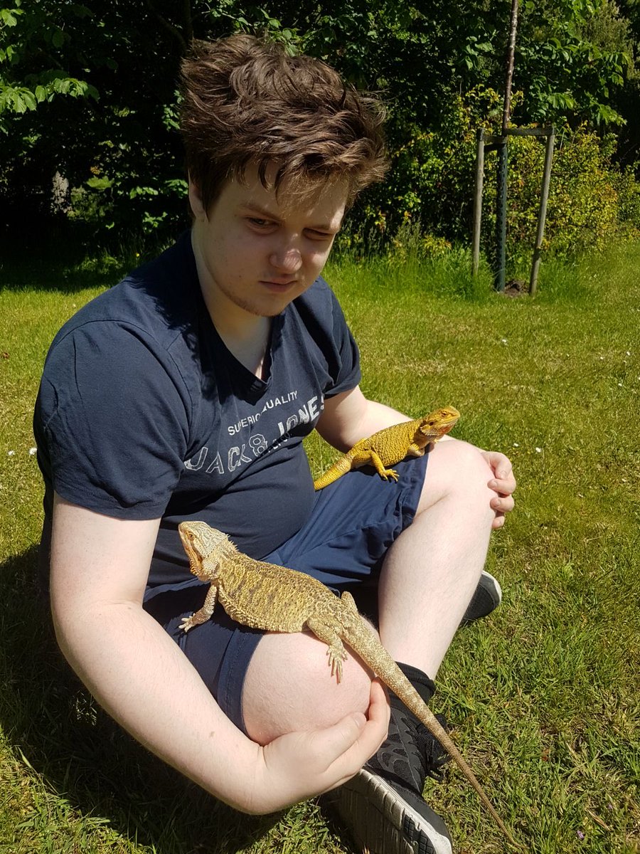 LillemanLA tweet media