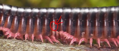 𝐌𝐞𝐭𝐚𝐩𝐡𝐲𝐬𝐢𝐜𝐚𝐥 tweet media