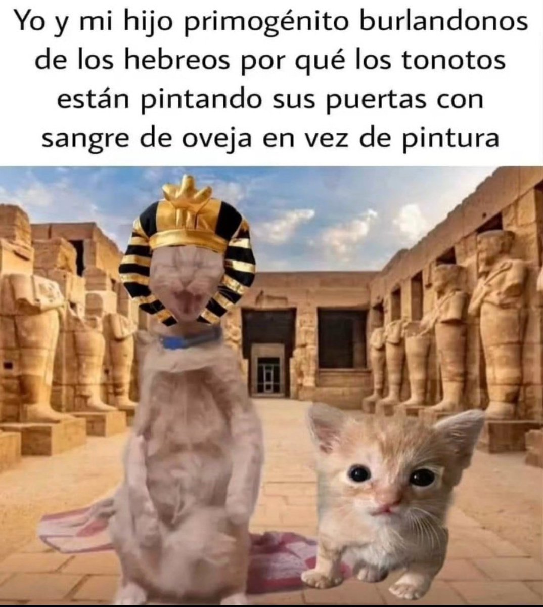 Shitpost Aleatorio tweet media