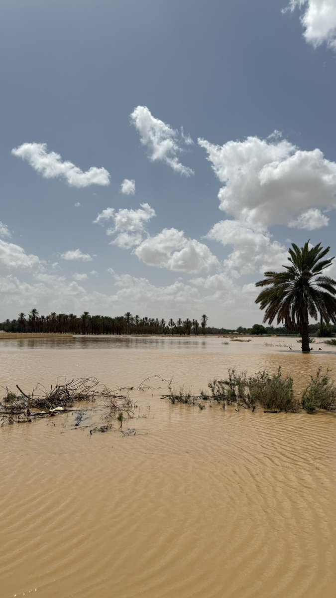 Abdullah tweet media