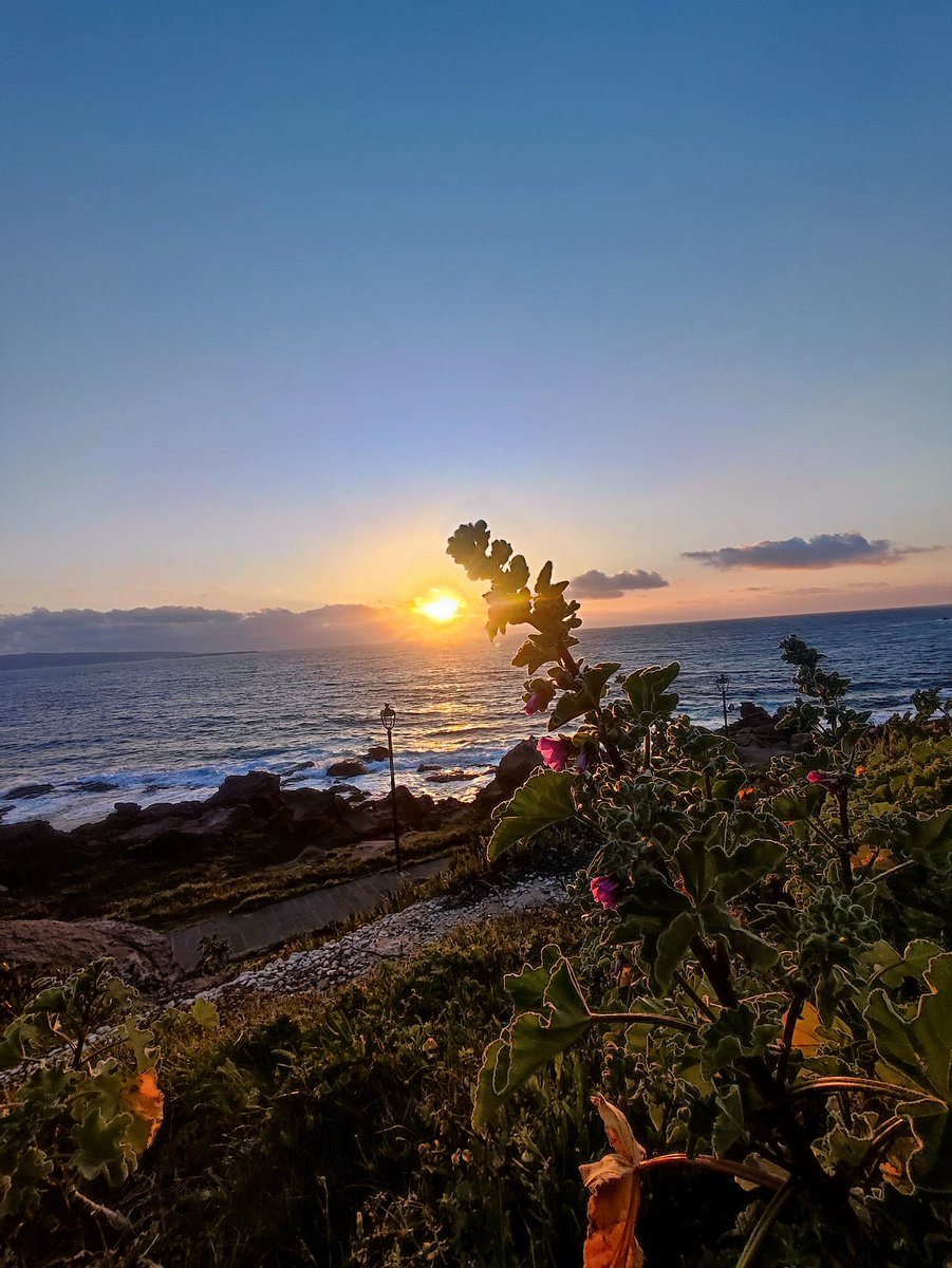 Cristina tweet media